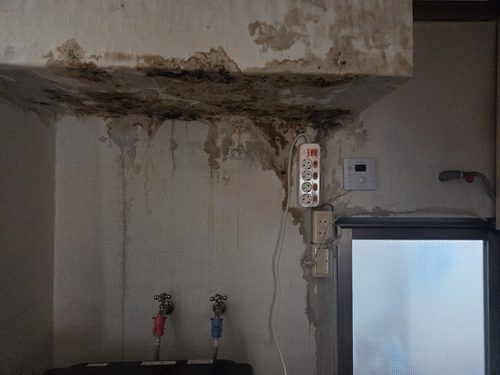 임*경 시공 후기 사진 양주 누수탐지 임*경 시공 후기 사진