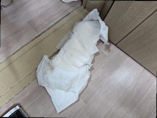 성북구 누수탐지 누수 발생 위치와 물이 이동하는 경로를 비교한 배관 구조 이미지