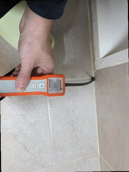 금천구 누수탐지 벽지 변색과 천장 얼룩의 위치를 확인하는 현장 점검
