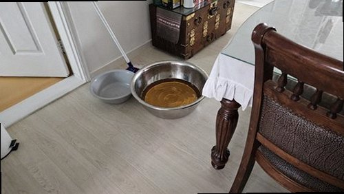 제물포구 누수탐지 싱크대 하부장 안쪽의 물기와 배관 연결부를 확인하는 현장