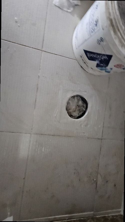 동탄구 누수탐지 수도계량기 별침과 배관 압력 상태를 확인하는 현장 점검