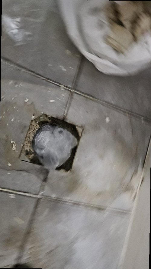 강화군 누수탐지 가스탐지기와 청음탐지기로 배관 누수 위치를 확인하는 과정
