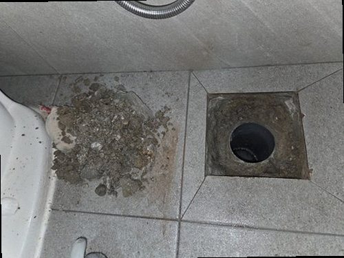 이천 누수탐지 천장 누수 얼룩과 주변 습기 상태를 확인하는 현장
