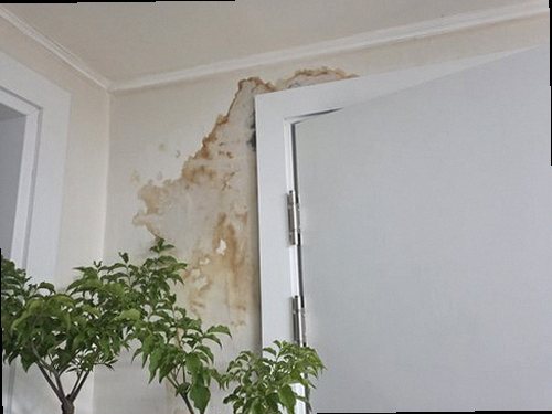 이천 누수탐지 사음동 누수탐지 거실도배젖음 부분 보수와 전체 점검 비교