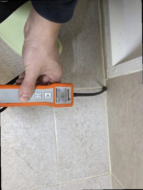 송파구 누수탐지 천장 얼룩과 바닥 습기 피해를 확인하는 모습