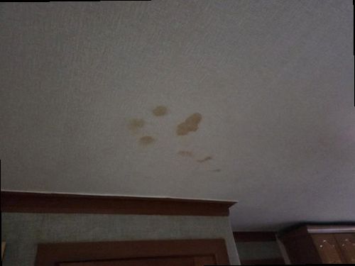 팔달구 누수탐지 배관 압력 검사와 열화상 확인을 비교하는 누수 점검 장면