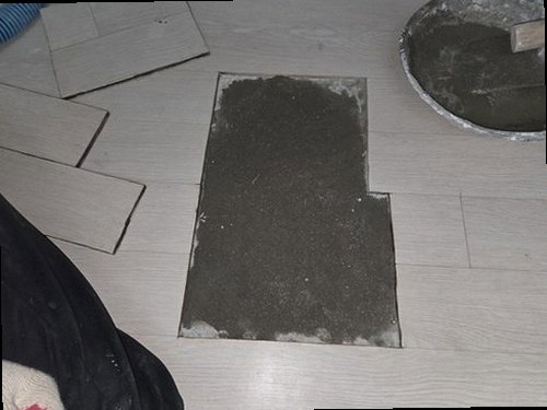 서울 강서구 누수탐지 천장과 벽지에 나타난 누수 흔적을 확인하는 현장 점검 모습
