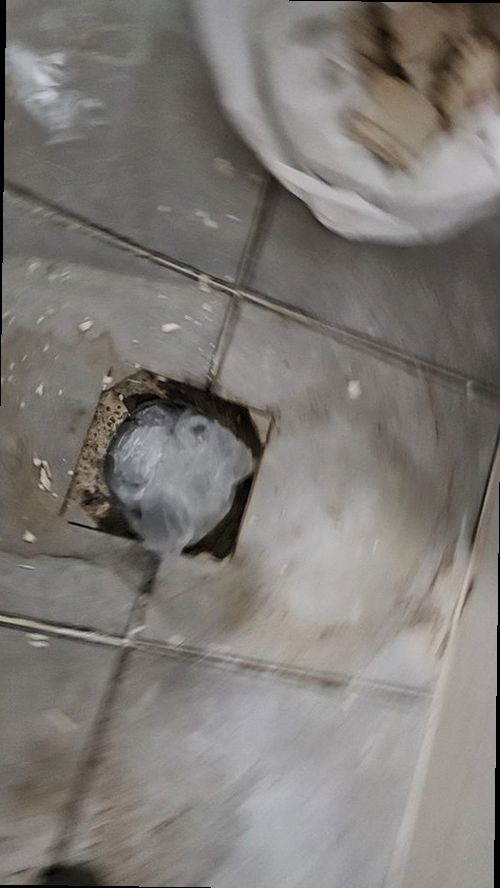 은평구 누수탐지 배관 압력검사와 청음탐지 장비를 활용하는 현장