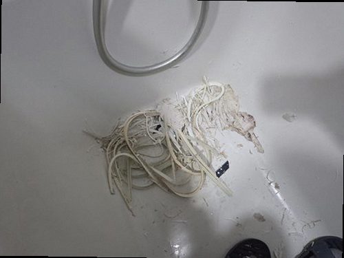 대전 중구 누수탐지 욕실 바닥과 아랫집 천장 누수 피해를 비교하는 현장 점검 모습