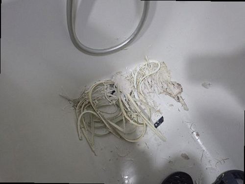 대전 동구 누수탐지 싱크대 하부장과 수도 연결부 누수 점검 모습