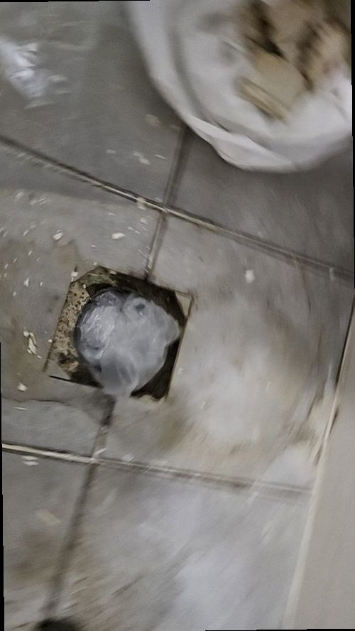 천안시 동남구 누수탐지 누수 위치를 찾기 위해 열화상 카메라를 사용하는 모습